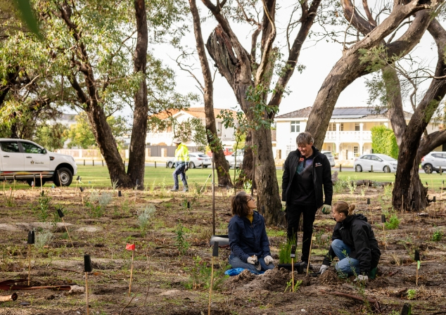 Image of tree planting