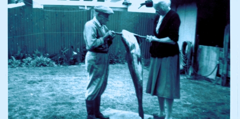 What the River Holds